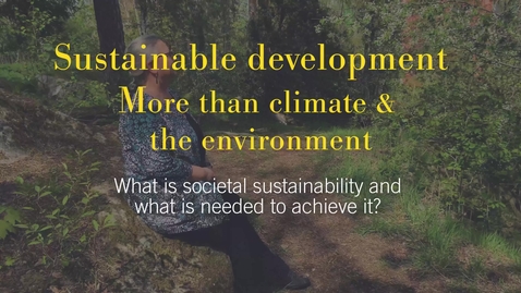 Miniatyr för inlägg What is social sustainability