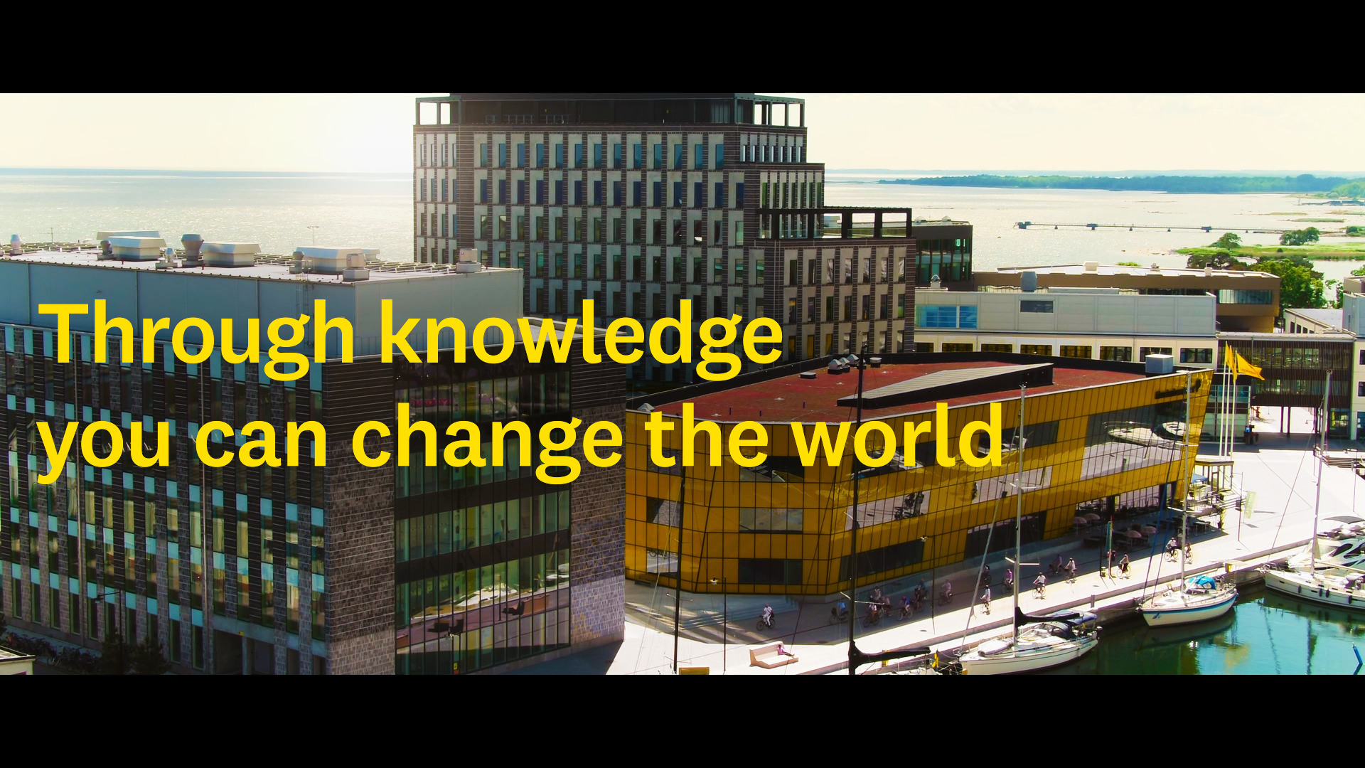 Linnaeus University Login