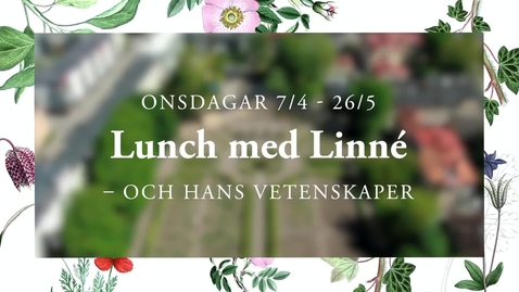 Thumbnail for entry Lunch med Linné