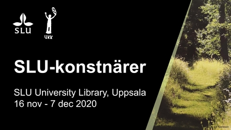 Thumbnail for entry SLU-konstnärer : an Art Exhibition in the Library