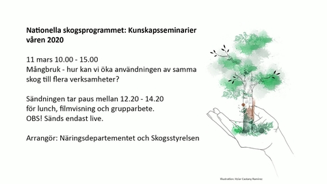 Thumbnail for entry Nationella skogsprogrammet: Kunskapsseminarier våren 2020